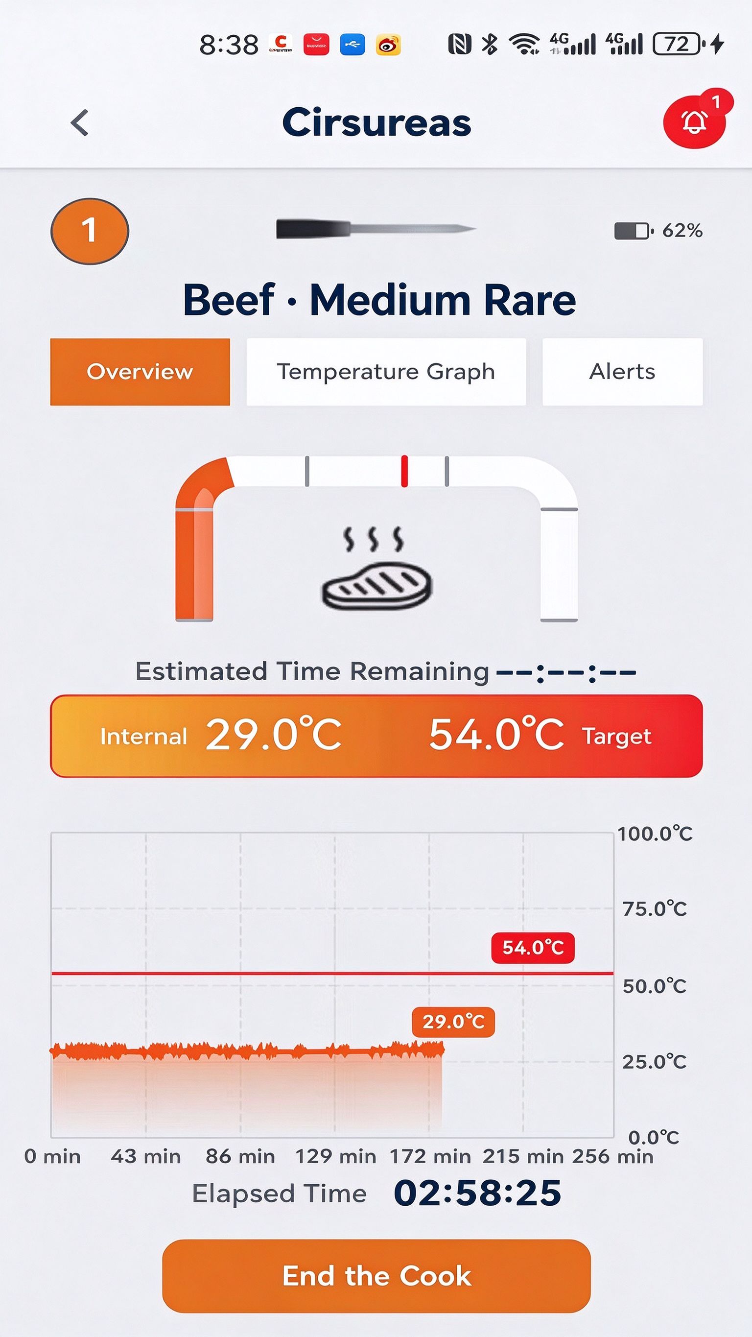 Probe detail page: live internal temperature, target, countdown and real-time curve